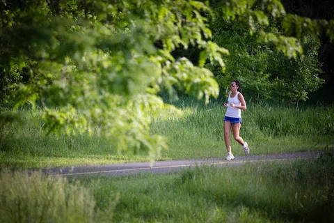 Forest Preserves of Cook County