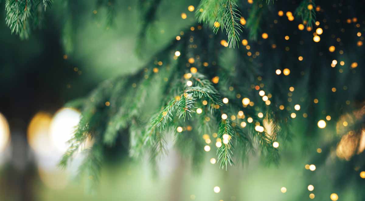 AdobeStock_372953356 holiday lights