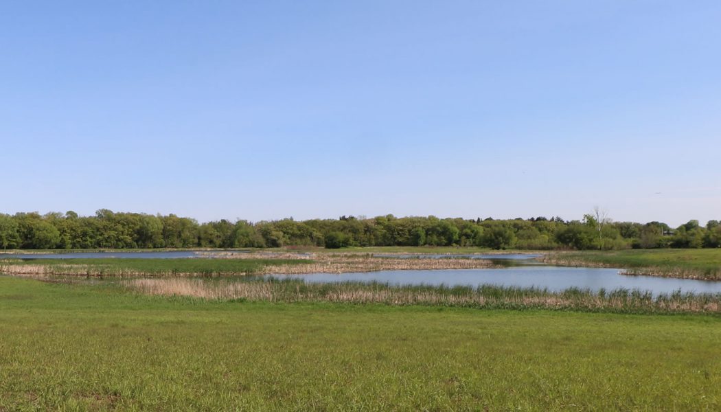 Paul Douglas Preserve
